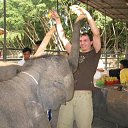 ����������� ������-��������� �� ������� ���� ����������