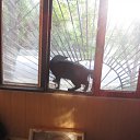 ���� ����, ������, 33 ���� - ��������� 5 ������� 2012 � ������ �05.10.12 ��� ���� ���� �� �������))�