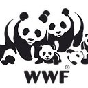  wwf    Ogilvy Stockholm (2007 )   WWF
