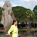 ���� ���, �����������-��-�����, 50 ��� - ��������� 21 ������ 2012 � ������ ��������� 2012�