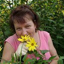 ���� ������, ���������, 42 ���� - ��������� 23 ���� 2012 � ������ ���� ����������