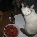 ���� ����, ��������, 47 ��� - ��������� 12 ������� 2012 � ������ �������