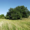 ���� �������, �������, 38 ��� - ��������� 24 ���� 2012 � ������ ���� ����������