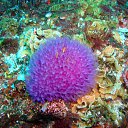 ���� ������, ������, 60 ��� - ��������� 4 ����� 2012 � ������ �� ������� ���������