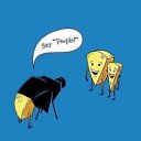 ���� ����� �, ����, 26 ��� - ��������� 15 ����� 2012 � ������ ���� ����������