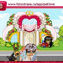 ���� �����, ����, 44 ���� - ��������� 4 ����� 2011