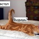 ���� �����, �����������, 41 ��� - ��������� 14 ������� 2010 � ������ ���������� ������� ������