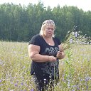 ���� ���, ������, 56 ��� - ��������� 8 ���� 2013 � ������ �������