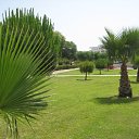 ���� ��������, ���������� �����, 51 ��� - ��������� 24 ���� 2010 � ������ �������� � ������: Side � Manavgat�