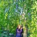 ���� �������, ������, 67 ��� - ��������� 12 ���� 2012 � ������ ���� ������ �����������