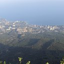 ���� ������, ������, 39 ��� - ��������� 31 ������� 2011 � ������ �Avataria�