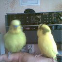 ���� Vlad, ������ - ��������� 19 ������ 2012 � ������ ��������