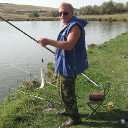 �������, ����������, 74 ����