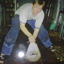 ���� ����, �����������, 42 ���� - ��������� 6 ������� 2012 � ������ ���� ����������