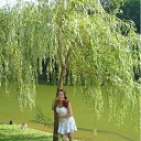 ���� �����, ������, 39 ��� - ��������� 11 �������� 2011 � ������ ���� ����������