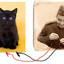 ���� Nemo(������), ����������, 35 ��� - ��������� 2 ������� 2010