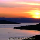  Stefanos, - -  11  2011   Greece, Salamina Island - There I Live