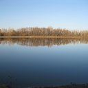 ���� �������, ������, 60 ��� - ��������� 25 ������� 2011 � ������ ���� ����������