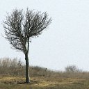 ���� ����������, ������-��-����, 31 ��� - ��������� 4 ���� 2012 � ������ ���� ����������� ������)�