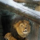 ���� ������, ���������, 59 ��� - ��������� 1 ������� 2011 � ������ ���� ����������