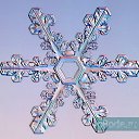 ���� �������, ������, 41 ��� - ��������� 9 ������� 2009 � ������ ���������