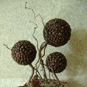 ���� �����, �����, 50 ��� - ��������� 7 ����� 2012