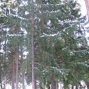 ���� ������, �����-���������, 66 ��� - ��������� 1 ������ 2012 � ������ ����� 2012 ����.�