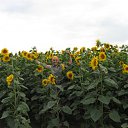  , , 58  -  11  2009   