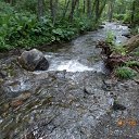 �� ����� ����������� ������� �� ������� ���������