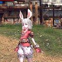 ���� C�������, ������, 43 ���� - ��������� 15 ����� 2013 � ������ ���� ����������