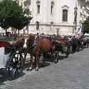 ���� ��������� �������, �����, 47 ��� - ��������� 5 ������ 2010 � ������ ������