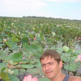 ���� ���������, ������, 42 ���� - ��������� 10 ������� 2011