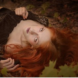 ���� �������� ����, ���, 39 ��� - ��������� 10 ��� 2011