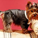  Lika,  -  3  2010      :)