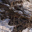 ���� �ocpucm, ������, 48 ��� - ��������� 31 ����� 2010 � ������ ������