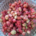 ���� �������, ����, 53 ���� - ��������� 18 ���� 2012 � ������ ���� ����������