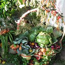 ���� �����, ���� - ��������� 19 �������� 2009 � ������ ����� �����