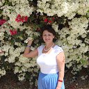  , -, 71  -  31  2013    2013