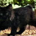 ���� ������, ����������, 54 ���� - ��������� 28 ������ 2010 � ������ ������