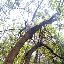 ���� Dark Snow, ������, 47 ��� - ��������� 2 ������� 2012 � ������ �����ܻ