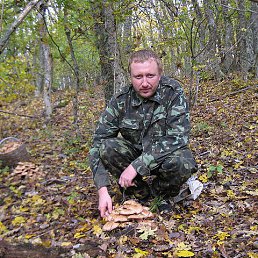 �����, ��������, 54 ����