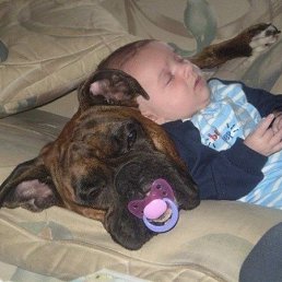 ���� �������, ����, 55 ��� - ��������� 16 ����� 2013