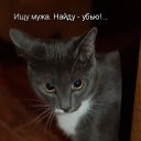  Lika,  -  3  2010      2 :))