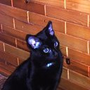 ���� �����, ����������, 42 ���� - ��������� 5 ������ 2011 � ������ ���� ����������