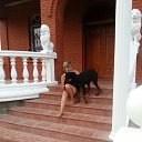 ���� ��������, ������, 54 ���� - ��������� 5 ���� 2013 � ������ ���� ����������