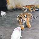 ���� ����� - ���������� ��������!!!, �����������, 56 ��� - ��������� 17 ������� 2010 � ������ �� ����� �������� � ... �� ������