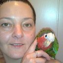 ���� �������, ��������, 51 ��� - ��������� 3 ���� 2013 � ������ ���� ����������