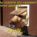  , , 50  -  28  2011   ))))))