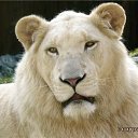 ��� ����� ������ ����� ����� ���� ����� �� ������� ������ ����,��� ����λ