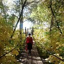 ���� ������� �������, ���������, 64 ���� - ��������� 13 ������ 2012 � ������ ���� ����������